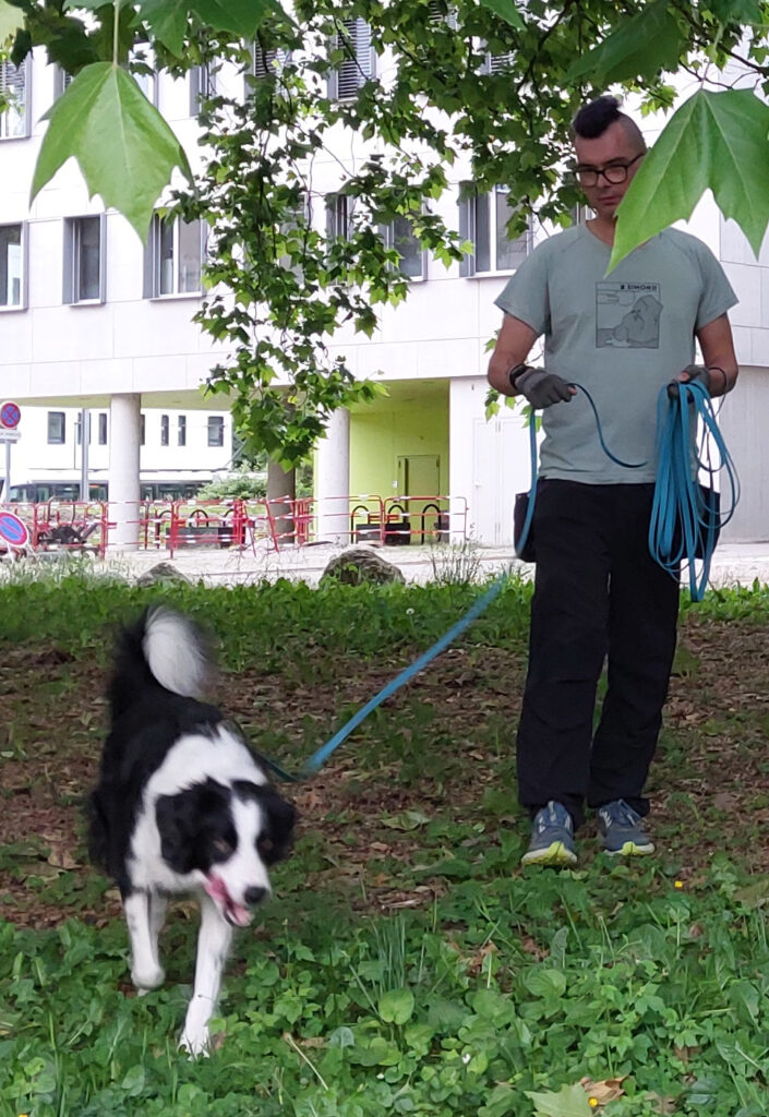Une personne avec les cheveux violets, portant un tshirt bleu clair, un pantalon de randonnée et une ceinture d'éducation, tenant une longe bleu. A l'autre bout de la longe, il y a un chien noir et blanc, avec la queue haute et la gueule ouverte